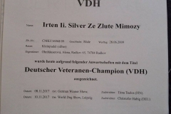Iris_něm._vet_champ