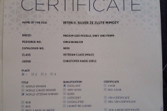 certif. Iris WDS