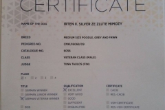iris_cert_germen